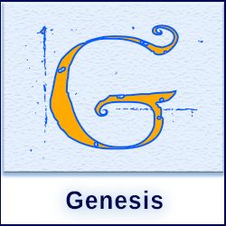 Explore the book of Genesis